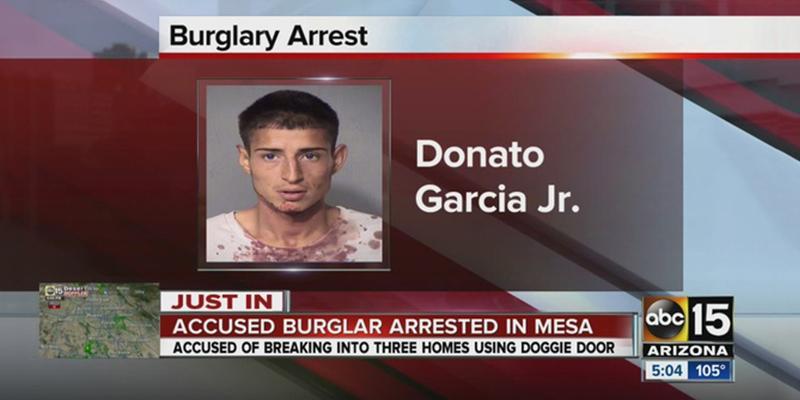 'Doggie Door Burglar' in Mesa, Arizona werd betrapt door Ring