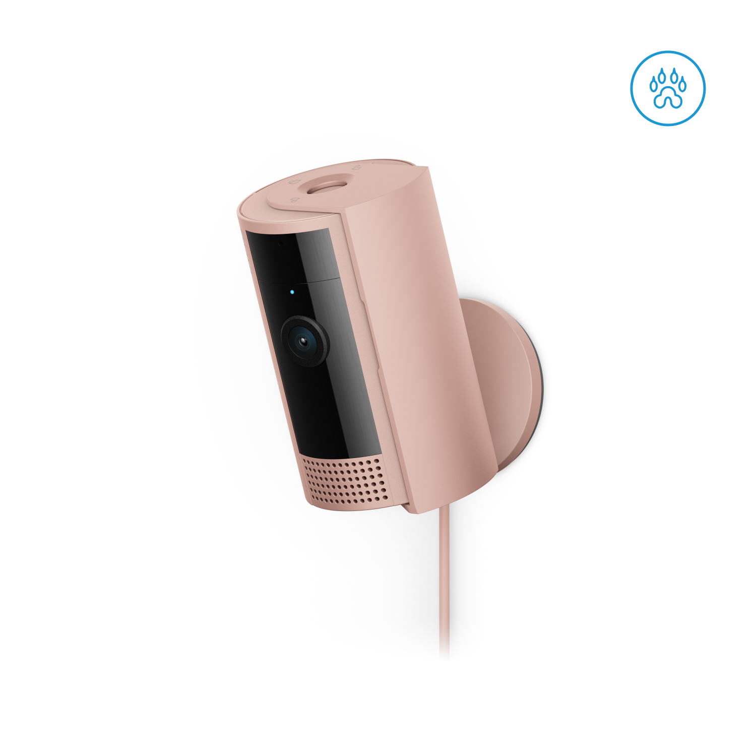 Poederroze:Indoor Camera (2de generatie)